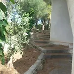 Summer Nyaraló Torre Vado