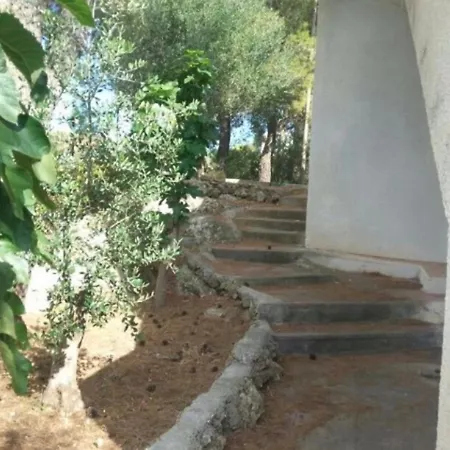 Summer - Holiday home Torre Vado